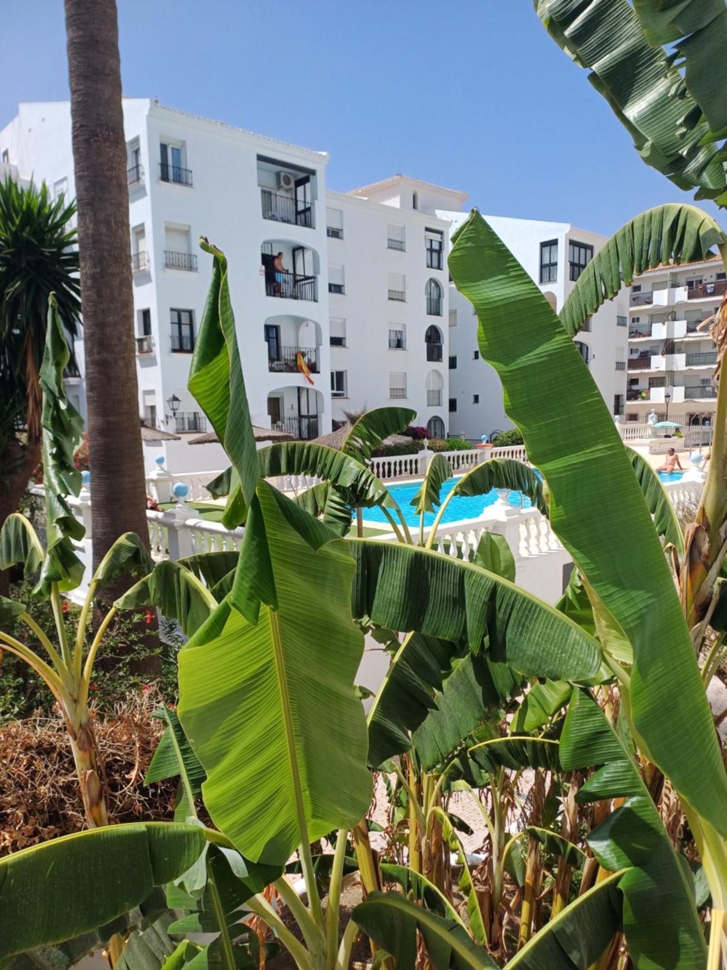 Beautiful Beachfront Newly Renovated 2 Bedroom With Swimming Pool And Garden San Luis de Sabinillas