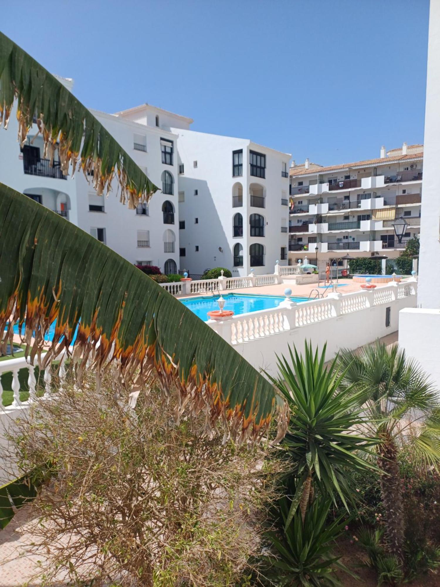 Beautiful Beachfront Newly Renovated 2 Bedroom With Swimming Pool And Garden *