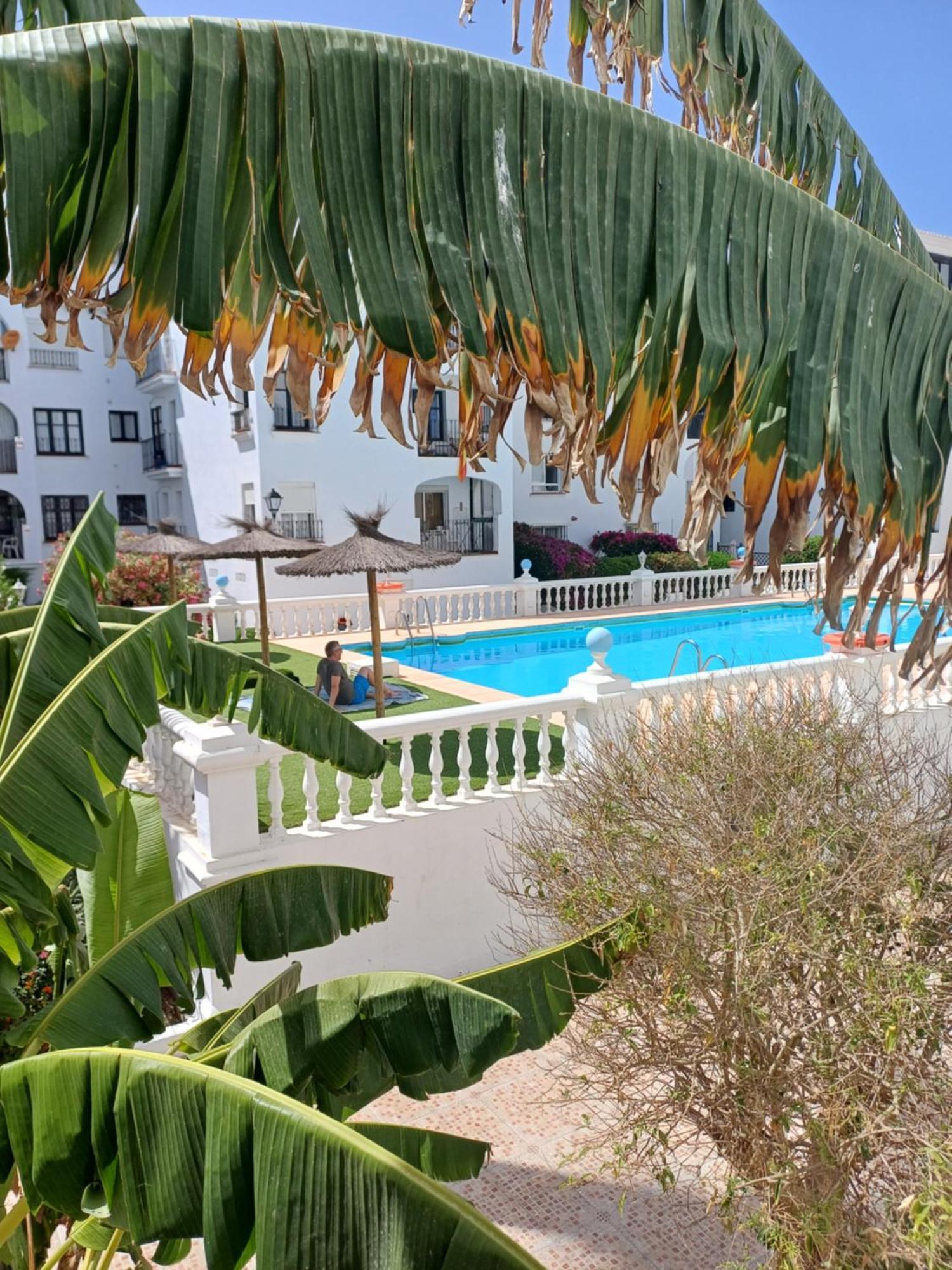 Beautiful Beachfront Newly Renovated 2 Bedroom With Swimming Pool And Garden San Luis de Sabinillas